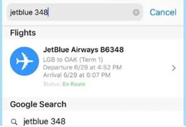 Checking Your Flight Status in Safari:
