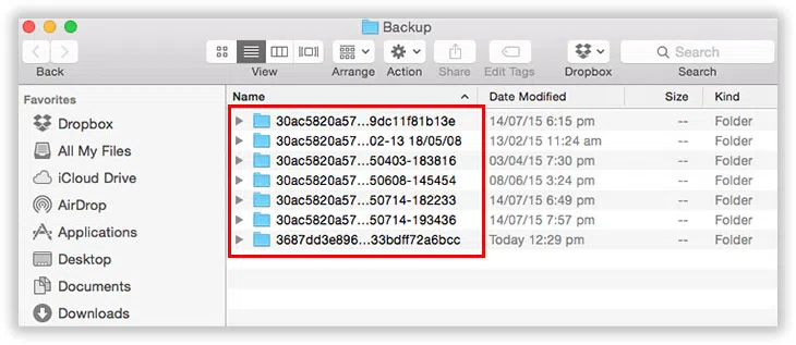 fid iTunes backup on mac