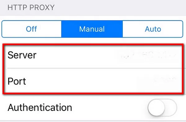 Set your preferred DNS address