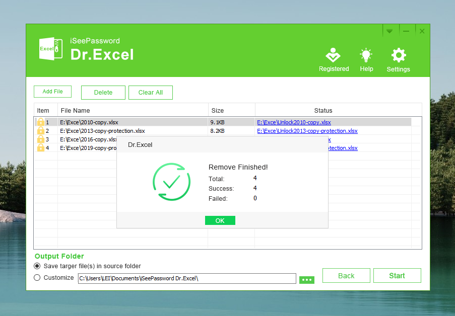 remove Excel worksheet password