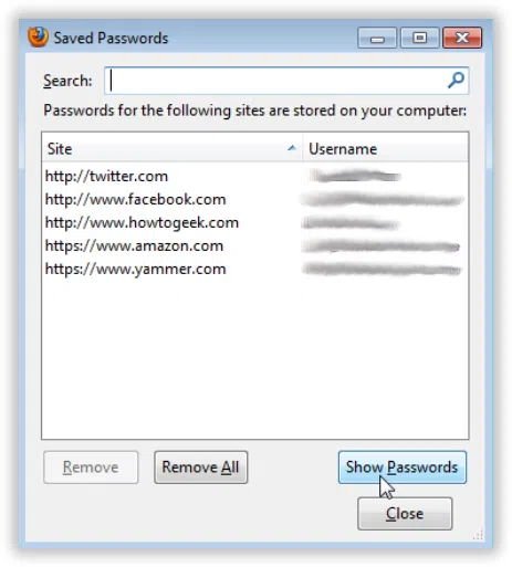 Save Passwords