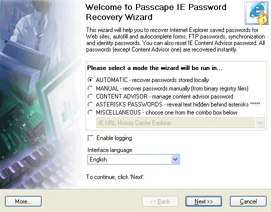 IE password recovery