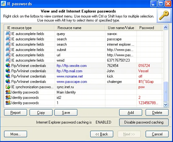 display IE password