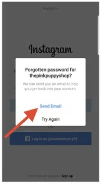 reset instagram with email